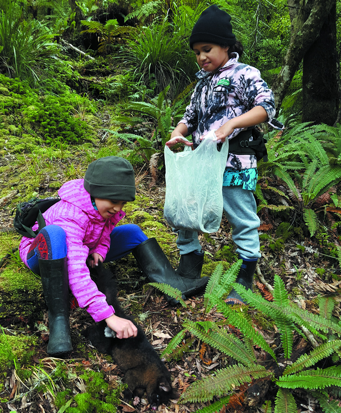 Maioha Timoti and Te Aotarewa Timoti pluck possums off a trapline in Ruatahuna Te Urewera