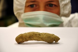 Janet Wilmshurst with a moa coprolite