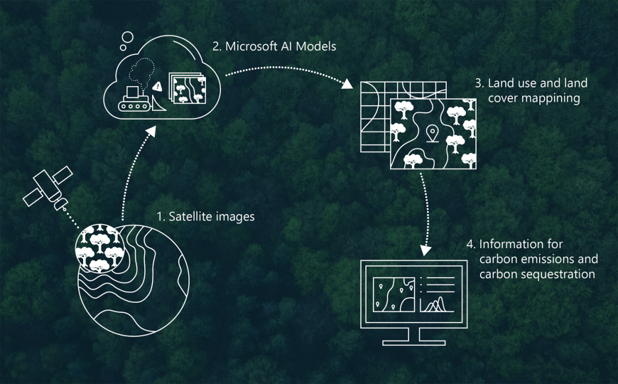 Infographic: the Microsoft - Manaaki Whenua collaboration