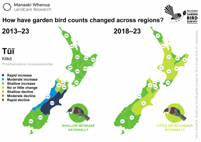 Map: How have tūī counts changed across regions?
