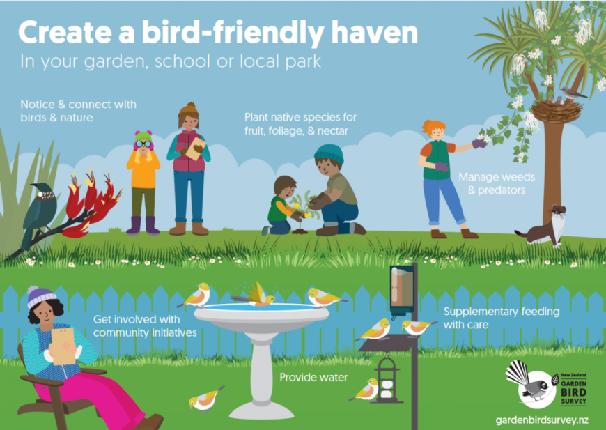 Create a bird-friendly haven in your garden, school, or local park. 