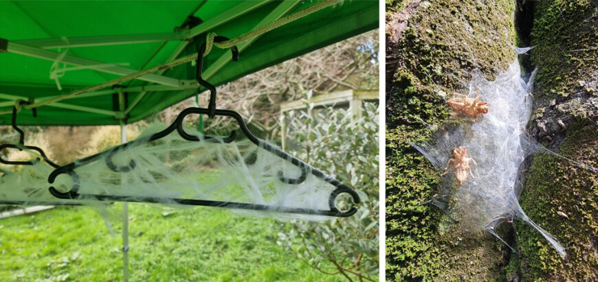 Artificial cobweb (left) and nature's own (right)