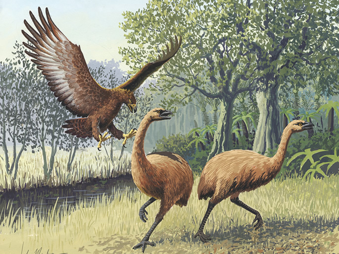 Giant Haasts eagle attacking New Zealand moa