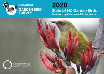 Access State of New Zealand Garden Birds 2020 | Te āhua o ngā manu o te kāri i Aotearoa Access State of New Zealand Garden Birds 2020 | Te āhua o ngā manu o te kāri i Aotearoa