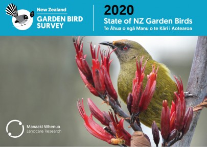 Access State of New Zealand Garden Birds 2020 | Te āhua o ngā manu o te kāri i Aotearoa 