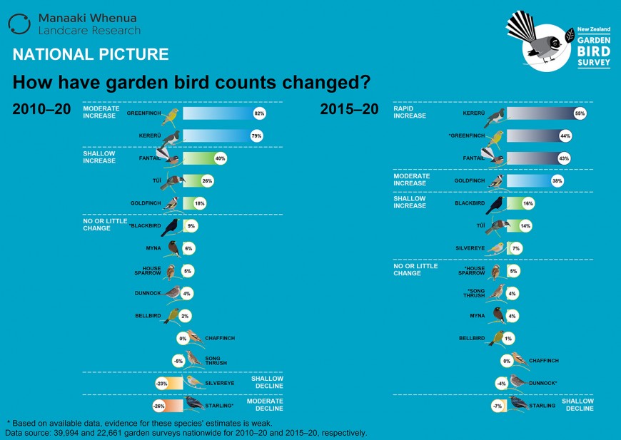 How have garden bird counts changed? 2010-2020