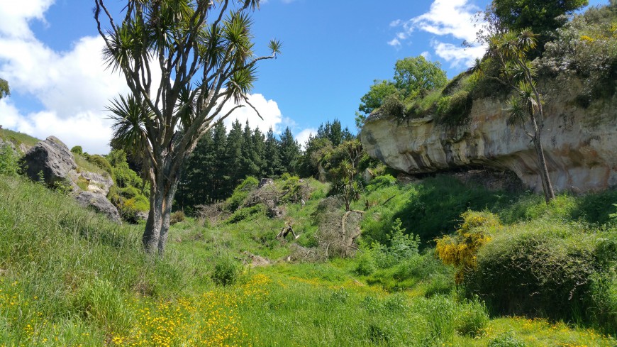 Māori rock art sites at Ōpihi, South Canterbury