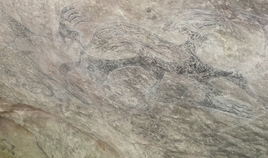 Māori rock art at Ōpihi, South Canterbury