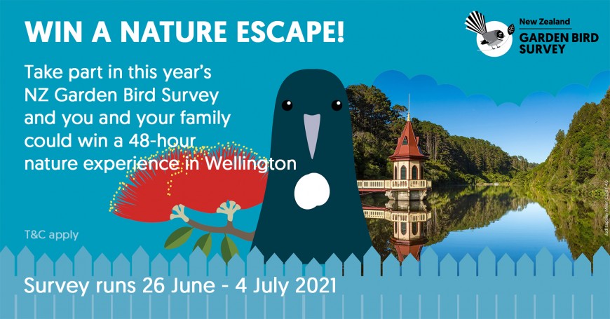 Win a nature escape weekend in Wellington