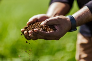 NZSTORY GROWERS 200