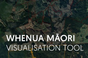 Whenua Māori Visualisation Tool