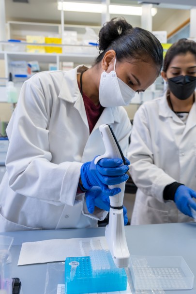 Sera Dau from CePaCT learning about the plant virus screening process using taro culture samples. 