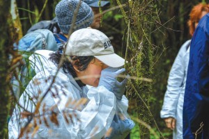 Dr Mahajabeen Padamsee inspects a leaf for signs of myrtle rust during a field trip to Taranaki