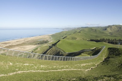 he pest-fenced peninsula Cape Sanctuary in Hawke’s Bay is 2,500 ha and has hosted the return of kiwi, toutouwai (robin), tīeke (saddleback), pāteke (brown teal) and tītipounamu (rifleman) among others to this mainland site. Image: Neil Fitzgerald