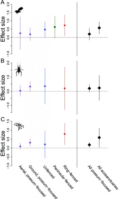 Figure 1: Biodiversity benefits in ecosanctuaries are generally greater than for large-scale possum-focused pest control.