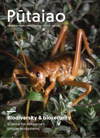 Cover: Pūtaiao Issue 10. Biodiversity &amp;amp;amp;amp;amp;amp;amp;amp; biosecurity.