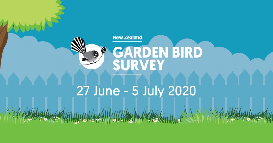 The NZ Garden Bird Survey