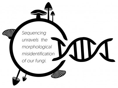 DNA sequencing ilustration