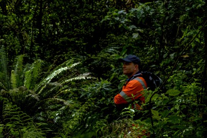 Field technician Scott Bartlam during a field trip to Taranaki where researchers were identifying suitable locations to conduct research for the programme Beyond Myrtle Rust.