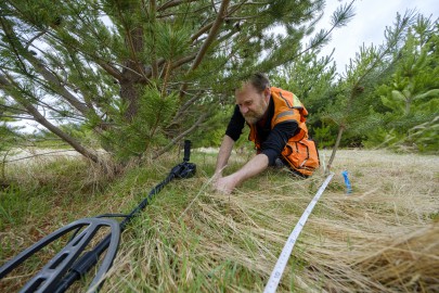 Research technician Rowan Buxton from Manaaki Whenua locates seedlings of wilding pines to remeasure at the Molesworth Station near Hanmer.