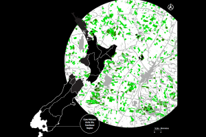 Mapping of winter forage frequency, paddock by paddock, in Southland, in 2017-18.