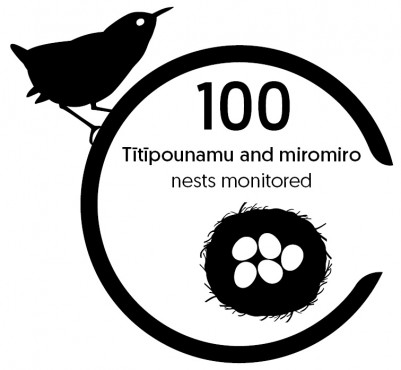 Tītīpounamu and miromiro nests monitored