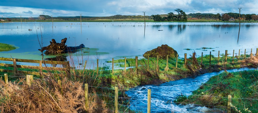 Farmland after the floods of 2015, Foxton, New Zealand.