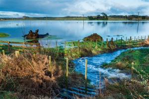 Farmland after the floods of 2015, Foxton, New Zealand.