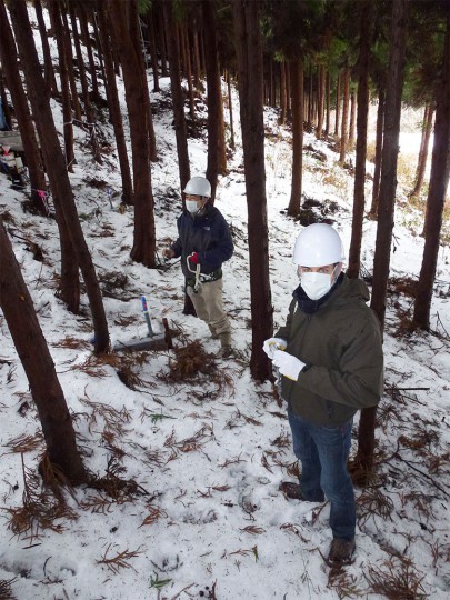 Forest monitoring site - Hugh Smith, front and Prof Yuichi Onda, programme lead, behind.