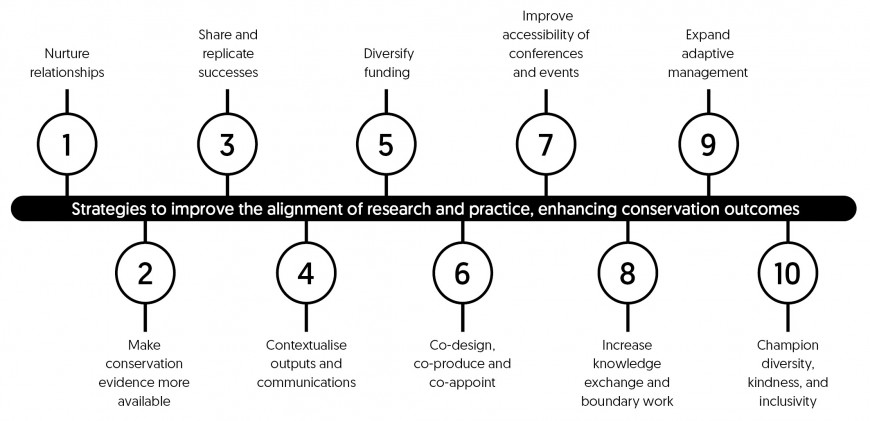 Strategies graphic