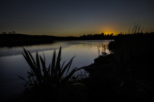 Waiwhakareke Natural Heritage Park in Hamilton