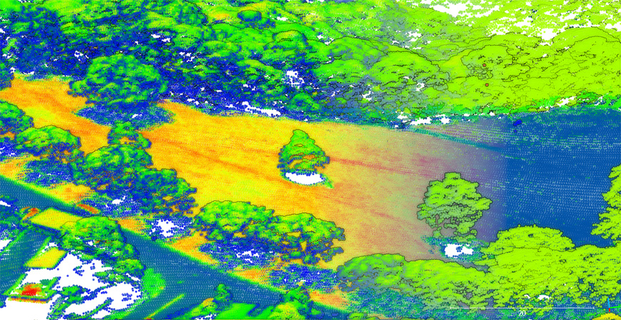 LIDAR mapping of individual trees in central Wellington.