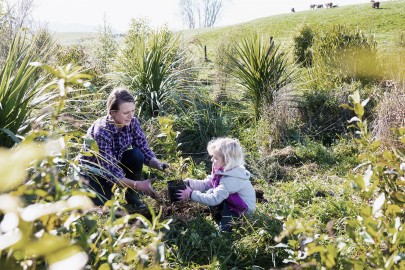 Image: Tree planting