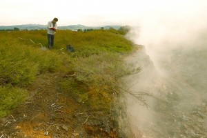 The study site: the Wairakei-Tauhara geothermal field near Taupo. Photo: John Hunt
