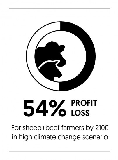 Graphic: 54% profit loss for sheep+beef farmers