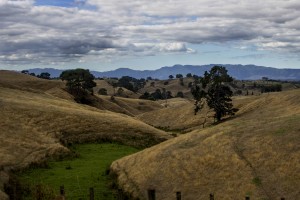 Matamata drought