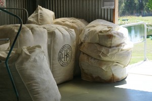 Woolpacks, Lake Hawea Station