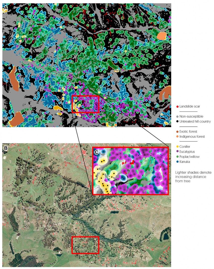 LiDAR imagery of tree crowns delineates species and crown height, enabling landslide risk to be calculated. A = false colour map, B = satellite view, C = detail of individual tree crowns.