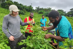 Zane McGrath, Senior Technician at Manaaki Whenua (left), and the Vanuatu Biosecurity team conducting foliage assessment survey at the pico beetle release site in Efate.