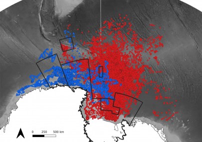 Over-winter migration location points of 53 penguins from Cape Bird, Ross Island (red) and 14 from Cape Adare, northwest Ross Sea (blue). Data were collected with light-measuring geolocators.