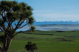 Rural scene, New Zealand. Image: Brad White.