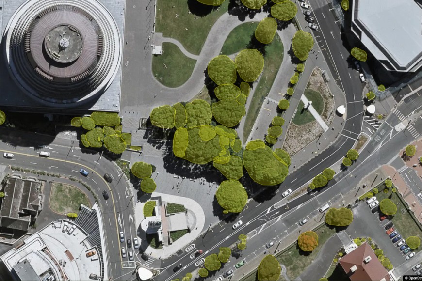 Central Wellington; individual trees marked in yellow