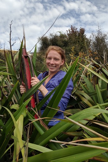 Dr Marion Donald using a waratah to install the camera posts next to the flax.