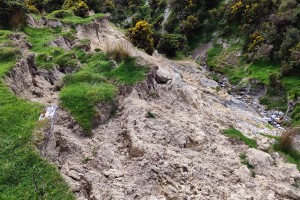 Intersection between the earthflow and the stream network, showing active erosion and ready supply of sediment.