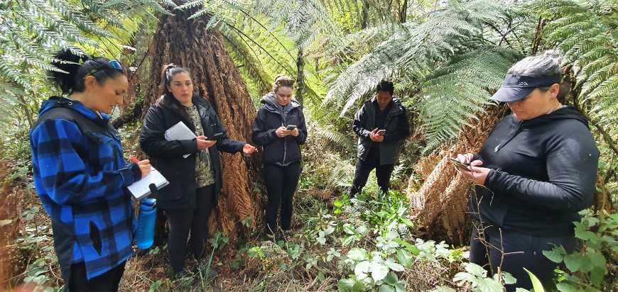 Trial app tests with local kaimahi and team leader / co-author Megan Younger, at Mangaehuehu Reserve, Ohakune.