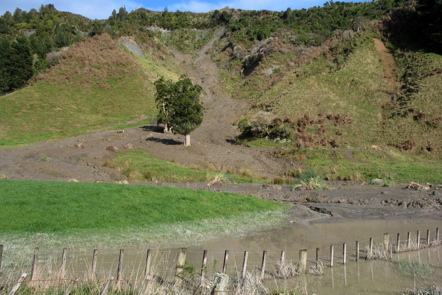 Typical shallow landslides in pastoral hill country areas.