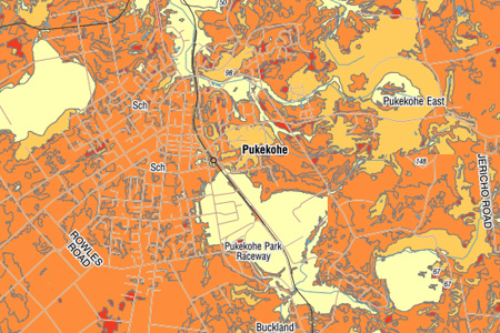 Pukekohe as it appears on S-map, the digital soil map for Aotearoa.