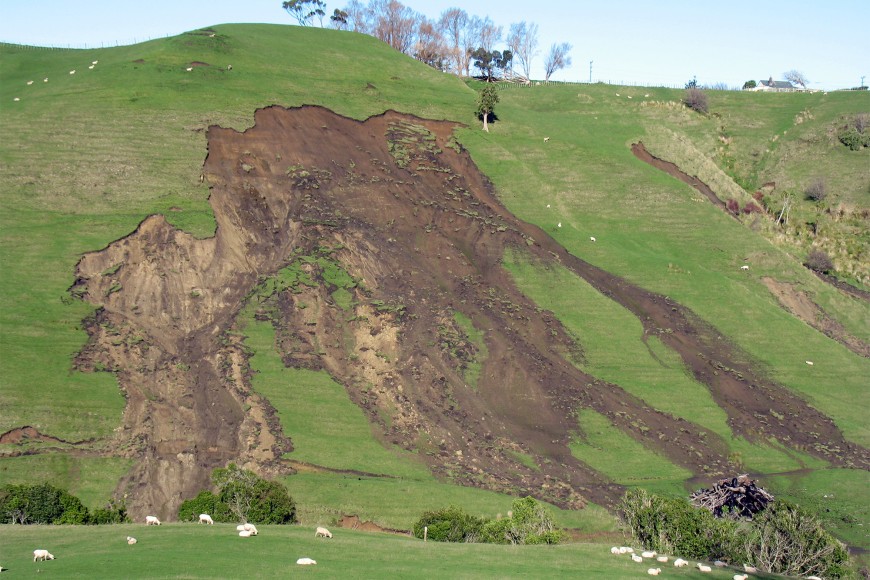 Typical shallow landslides in pastoral hill country areas.