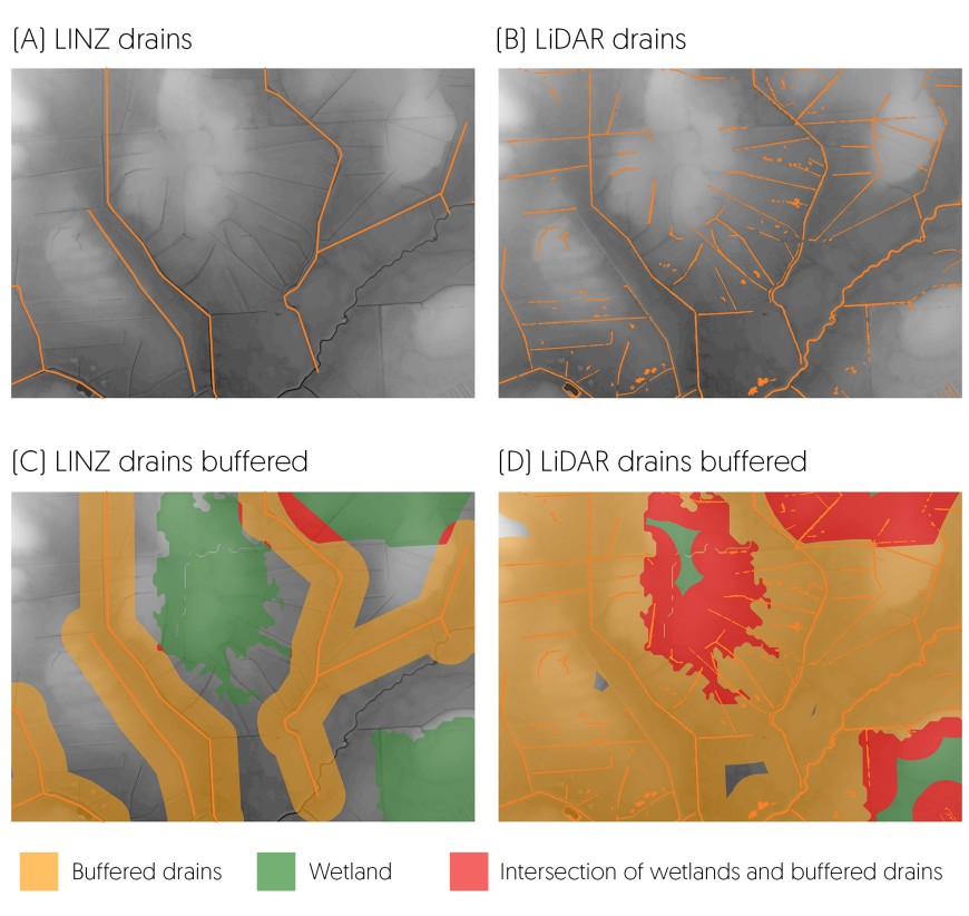 (A) LINZ drain coverage, clearly showing many drains missing. (B) LiDAR drain coverage with some drains missing, but also a river channel mapped as a drain. (C) LINZ drain coverage buffered by 100 m, showing a small overlap between drains and wetlands. (D) LiDAR drain coverage buffered by 100 m, showing substantial overlap (red) between areas mapped as wetland by FENZ, and the buffered drains. Note little wetland left in green (i.e. not within 100 m of a drain) in this image.