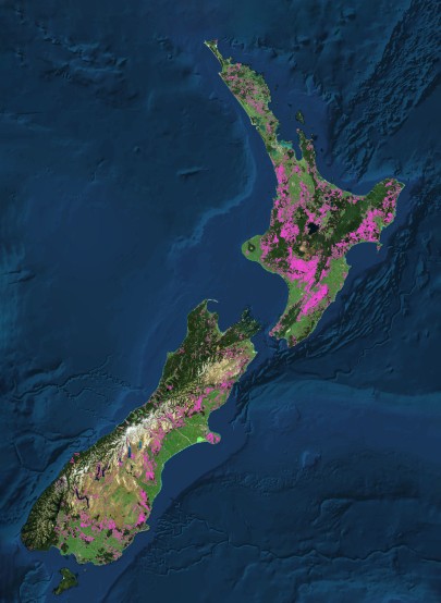 Map: Pink areas indicate marginal agricultural land where natural reforestation is likely to occur following retirement of land from production. Over 3 million hectares could be reforested in this way.
